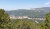 Trail Walking Le Castellet - Sainte Anne du Castellet - Photo 1