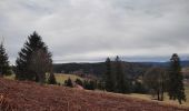 Tour Wandern Basse-sur-le-Rupt - circuit menufosse pierre des 4 Communes chalet des charmes - Photo 9