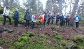 Tour Wandern Fontainebleau - Belle-croix 27 janvier 2023  - Photo 13