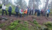 Trail Walking Fontainebleau - Belle-croix 27 janvier 2023  - Photo 13