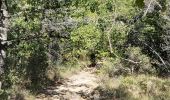 Trail Walking Malaucène - Malaucene-Crestet-Vaison la Romaine  - Photo 15