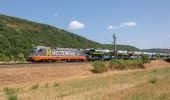 Tour Zu Fuß Gemünden am Main - Ortswanderweg Gemünden 4 - Photo 1