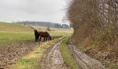 Randonnée Marche Tervueren - Duisburg 20,4 Km - Photo 7