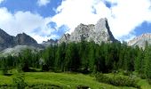 Trail On foot Cortina d'Ampezzo - IT-424 - Photo 3