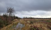 Trail Walking Gedinne - rando croix scaille 26-12-2023 - Photo 3