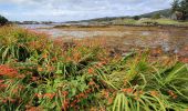 Tour Wandern West Cork - Ardgroom -  Eyeries - Photo 16