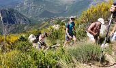 Trail Walking Castellane - Les cadières de Brandis - Photo 13