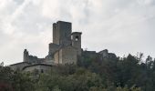 Excursión A pie Carpineti - Valestra - Monte Valestra - Passo della Regina - Castello delle Carpinete - Photo 9
