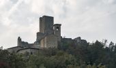 Percorso A piedi Carpineti - Valestra - Monte Valestra - Passo della Regina - Castello delle Carpinete - Photo 9