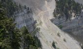 Randonnée Marche Die - Le Glandasse - Col des Bachassons par Valcroissant - Photo 8