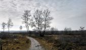 Excursión A pie Hellendoorn - WNW Twente -Wilgenweerd - rode route - Photo 8