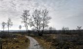 Tour Zu Fuß Hellendoorn - WNW Twente -Wilgenweerd - rode route - Photo 8