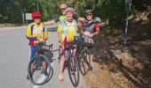 Tocht Wegfiets Vidauban - collobrieres gonfaron - Photo 3