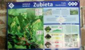 Tocht Te voet Zubieta - Aurkidiko itzulia - Photo 7