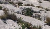 Tour Wandern Saint-Antonin-sur-Bayon - 20220512 la Sainte Victoire - Photo 6