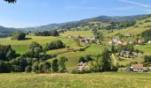 Tour Wandern Schnierlach - La tour du Faudé - Photo 12