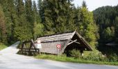 Percorso A piedi Edelschrott - Hans Klöpfer Rundwanderweg - Photo 3