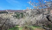 Tocht Stappen Saint-Appolinard - autour st appo - Photo 1