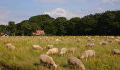 Trail On foot Ede - Oud Reemst - Blauw - Photo 7