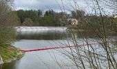 Tocht Stappen Bütgenbach - Butgenbach - Photo 1