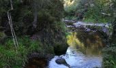 Trail Walking Malmedy - Malmedy  - Photo 9