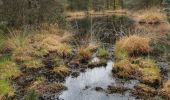 Trail Walking Fontainebleau - ddd - Photo 2