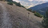 Tour Wandern Lus-la-Croix-Haute - sarrier grimone col de lus - Photo 1