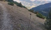 Tocht Stappen Lus-la-Croix-Haute - sarrier grimone col de lus - Photo 1