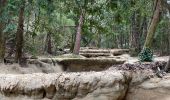 Randonnée Marche Nans-les-Pins - Source de l’huveaune - Photo 10