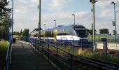 Percorso A piedi Wandlitz - Wanderweg Basdorf-Schönerlinde - Photo 2