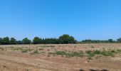 Trail Walking Saint-Cyprien - st cyprien les monges. St cyprien plage . St cyprien port . capellans . retour les monges  - Photo 3