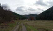 Excursión Senderismo Baerenthal - schmalenthal, bannstein, hammerschless - Photo 2