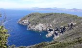 Trail Walking Hyères - Tour ouest de la presqu'île de Giens - Photo 5