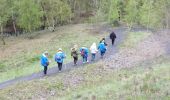 Tour Wandern Raismes - Terril du lavoir Rousseau - Photo 4