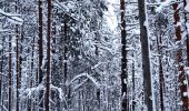 Trail On foot Suomussalmi - Kokalmuksen Kierros - Photo 3