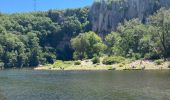 Randonnée Marche Berrias-et-Casteljau - Les gorges de Chassezac - Photo 1