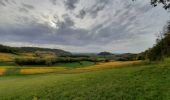 Randonnée Marche Plainoiseau - etoile jura - Photo 3