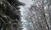 Randonnée Marche Malmedy - au mont spinette - Photo 3