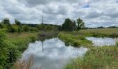 Randonnée Marche Wincrange - Escapardenne Eisleck Trail: Moulin d'Asselborn - Houffalize - Photo 9