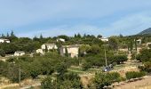 Trail Horseback riding Lauris - Provence 2025 J1 - Photo 5