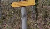 Trail Walking Estoublon - Gorges de Trevans par Valbonnette - Photo 3