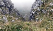 Trail Walking Omblèze - Le tour du Roc de Toulau - Photo 19