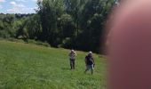 Trail Walking Herve - bolland - Photo 11