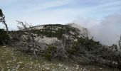 Randonnée Marche Bédoin - les glacières par le sommet du ventoux - Photo 10