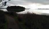 Tour Wandern Baden - Les 7 îles  01/01/20 . - Photo 1