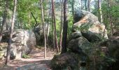 Randonnée A pied Fontainebleau - Sentier Denecourt-Colinet 1 - Photo 5