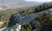 Trail Walking Rustrel - le Colorado provençal  - Photo 16