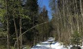 Trail On foot Herrliberg - Wetzwil - Pfannenstiel Hochwacht - Photo 3