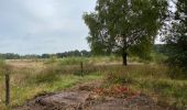 Tocht Stappen Pelt - De Wulp Hageven Grote Heide 24 km - Photo 3