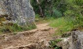 Trail Walking Montmeyan - les basses gorges de quinson - Photo 4